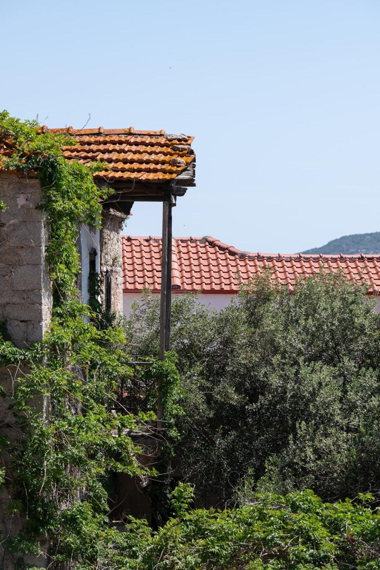 Rodi Houses Sykia Chalkidikis Bagian luar foto